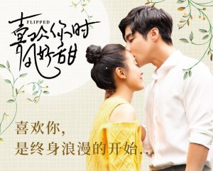 Download Drama China Flipped Subtitle Indonesia