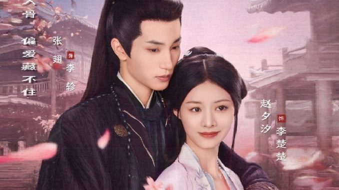 Download Drama China Hidden Love Subtitle Indonesia